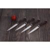 LAGUIOLE - 40269029 - Set de 4 Couteaux à Steak, Marron
