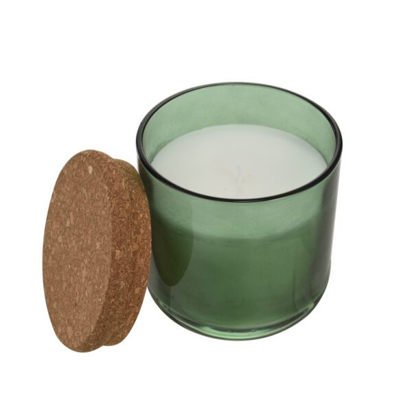 TAKE A CANDLE - 40310016 - Bougie parfumée Agrumes & Basilic 330g