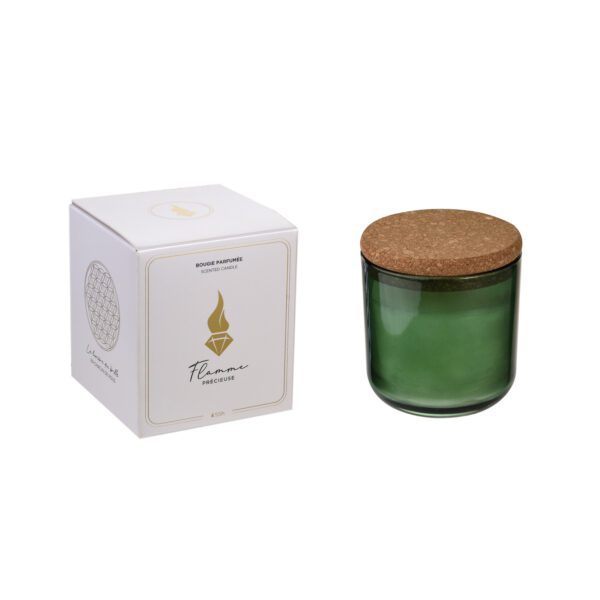 TAKE A CANDLE - 40310016 - Bougie parfumée Agrumes & Basilic 330g